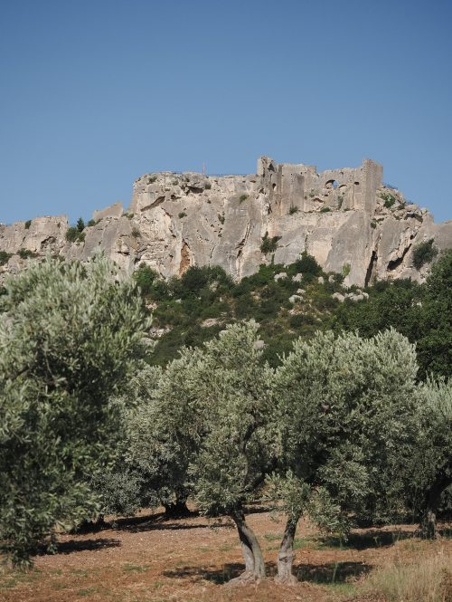 immobilier baux de provence